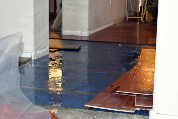 Professional Emergency Water Damage Restoration technician working in Northvale, NJ